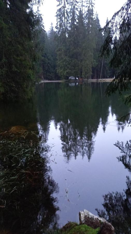 Monteurwohnung Aroba Fehrenbach Esterno foto