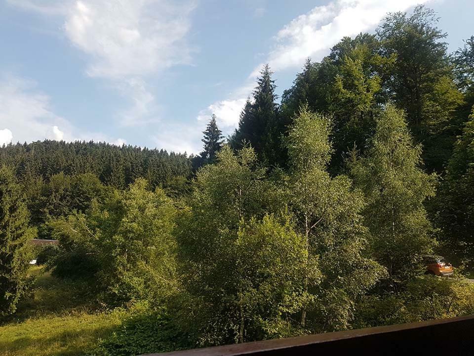 Monteurwohnung Aroba Fehrenbach Esterno foto