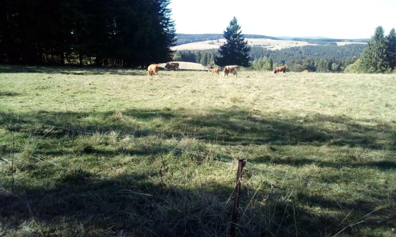 Monteurwohnung Aroba Fehrenbach Esterno foto
