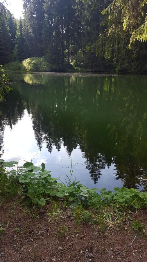 Monteurwohnung Aroba Fehrenbach Esterno foto