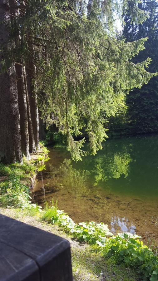 Monteurwohnung Aroba Fehrenbach Esterno foto