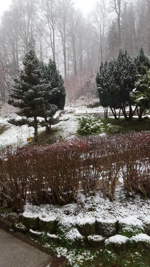 Monteurwohnung Aroba Fehrenbach Esterno foto